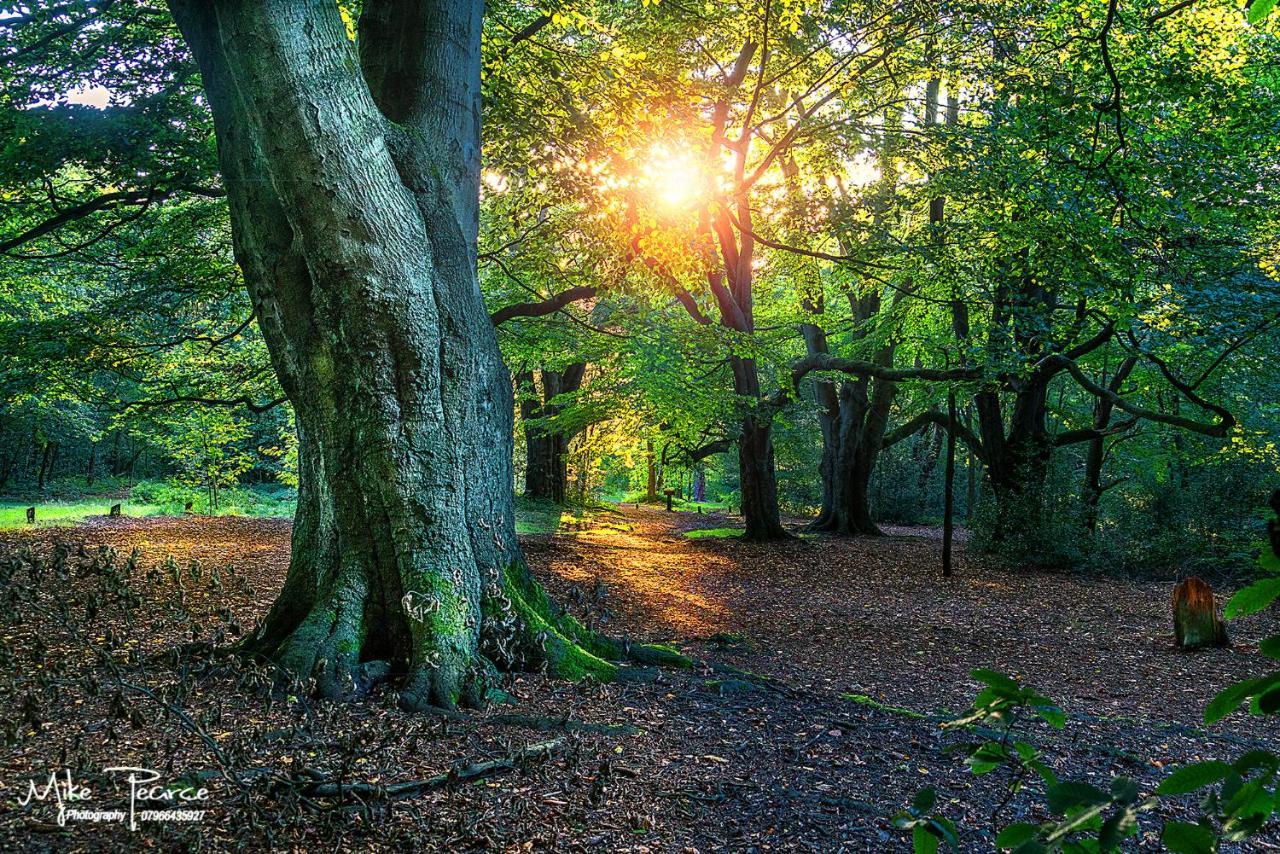 Newhall Lodge แคนน็อค ภายนอก รูปภาพ